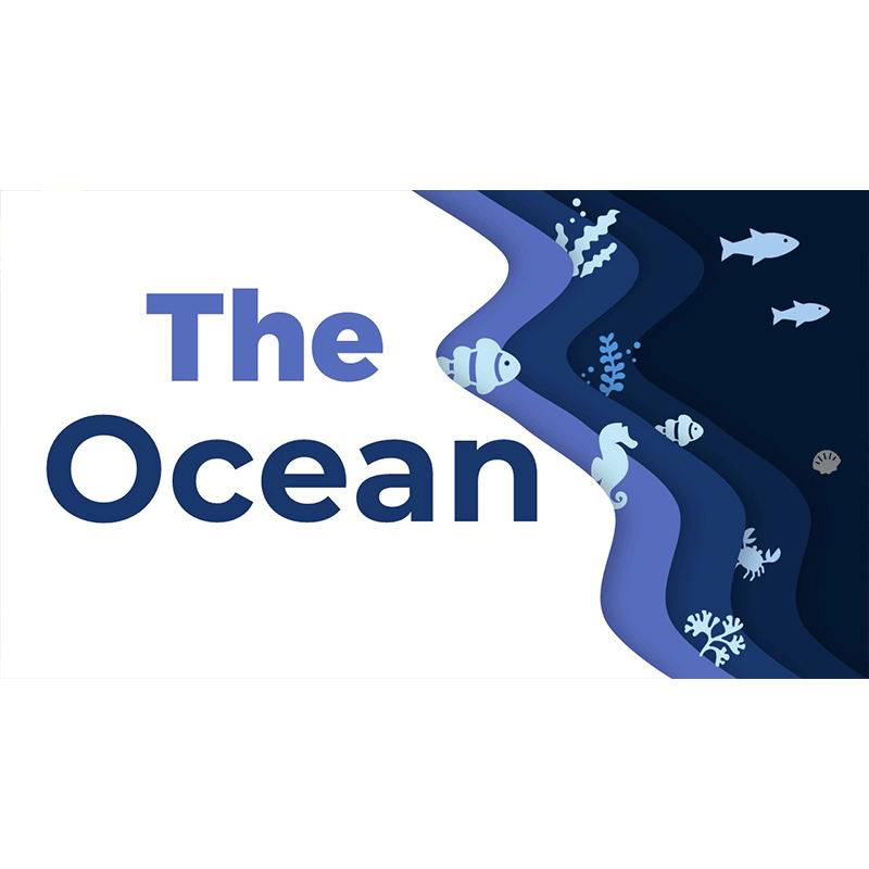 Powerpoint hiệu ứng intro OCEAN